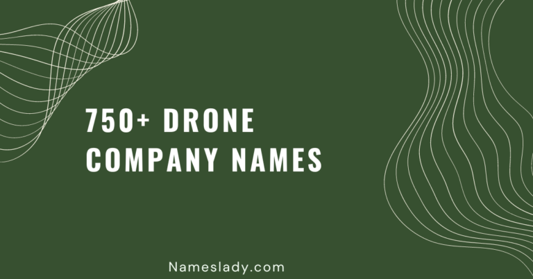 Drone Company Names