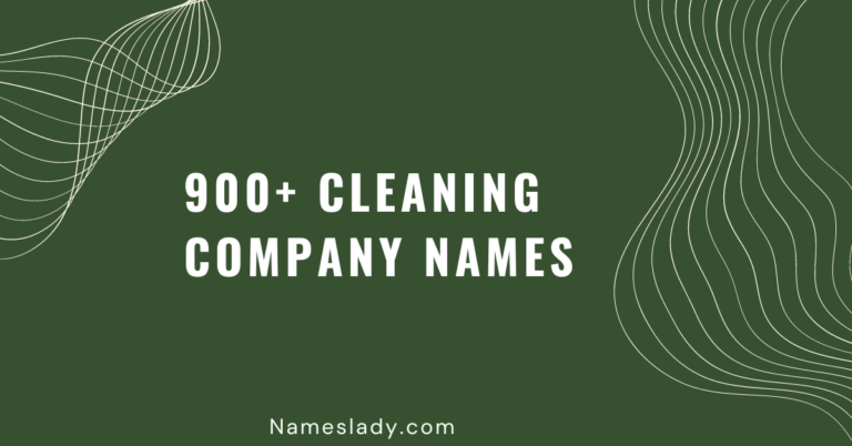 Cleaning Company Names