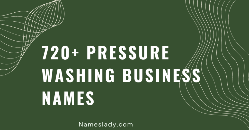 Pressure washer business name ideas