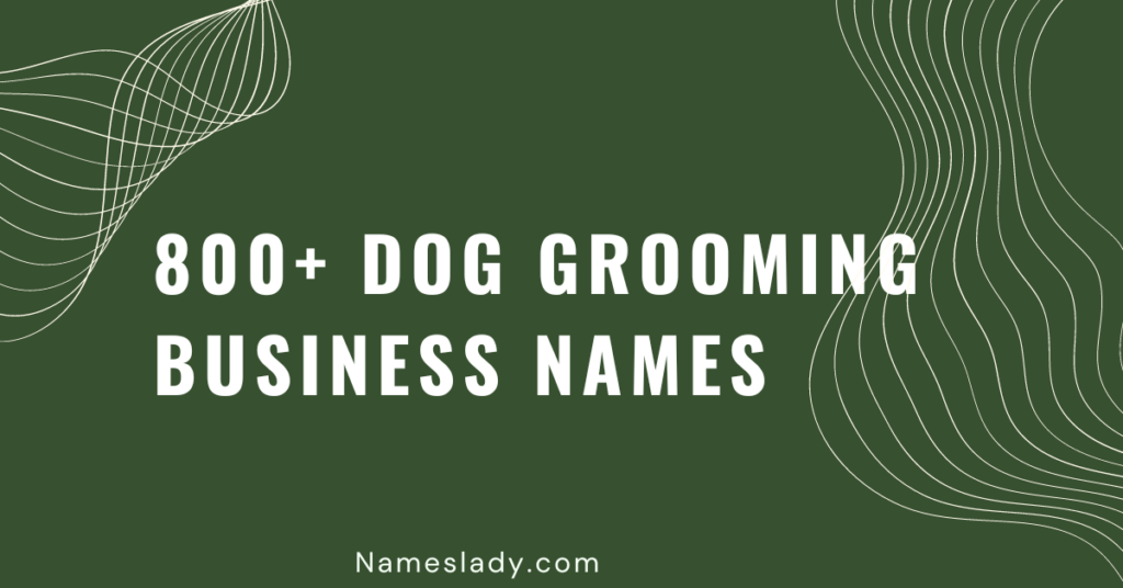 800 Best & Cute Dog Grooming Business Names Ideas NamesLady