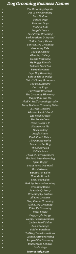 800 Best Cute Dog Grooming Business Names Ideas NamesLady