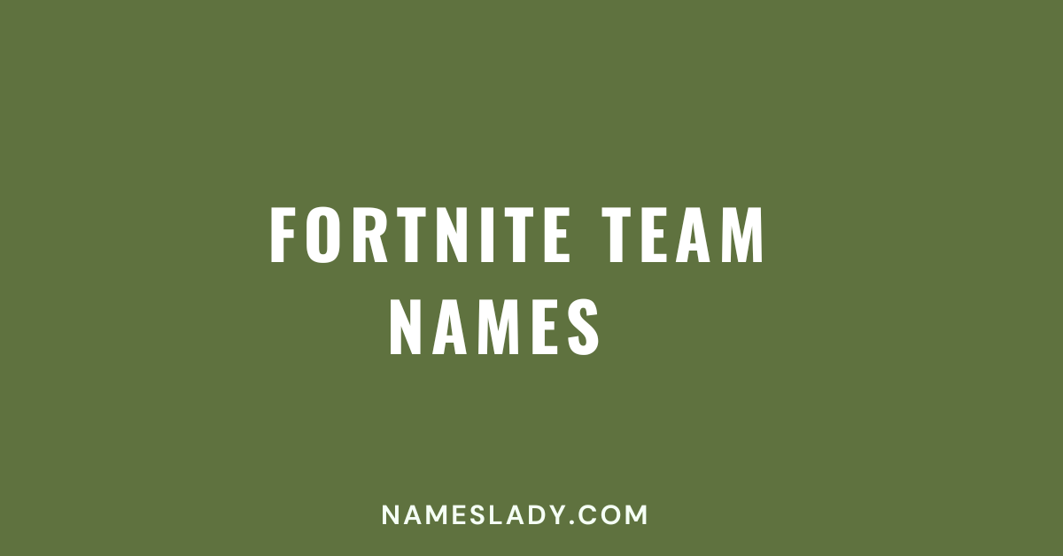 700-cool-and-fun-fortnite-team-names-ideas-nameslady