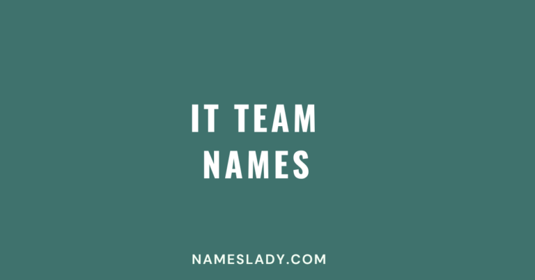 It Team Names