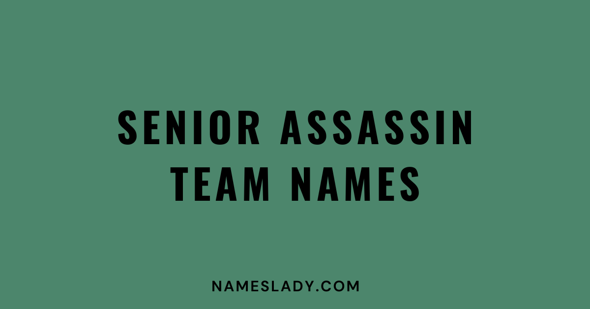 Senior Assassin Team Names